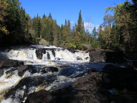 Tree lined river rapids