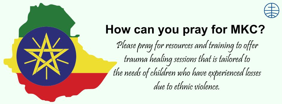 Please pray for resources and training to offer trauma healing sessions that is tailored to the needs of children who have experienced losses due to ethnic violence.