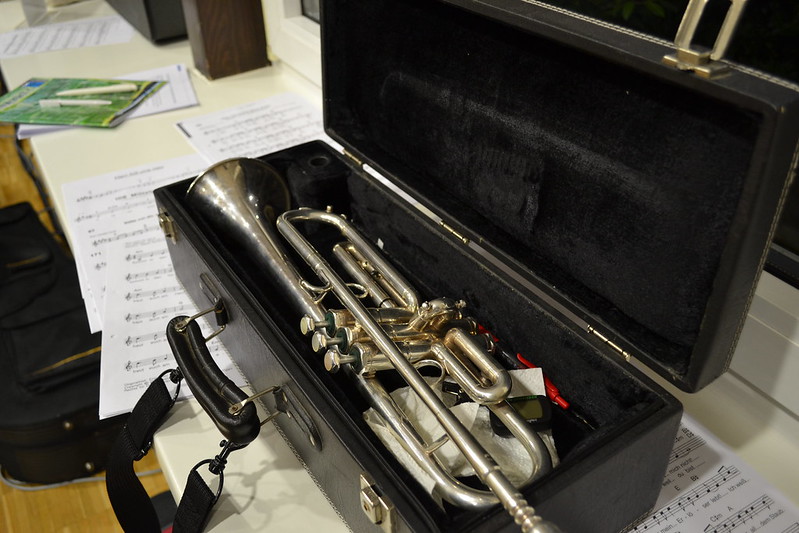 trumpet in case
