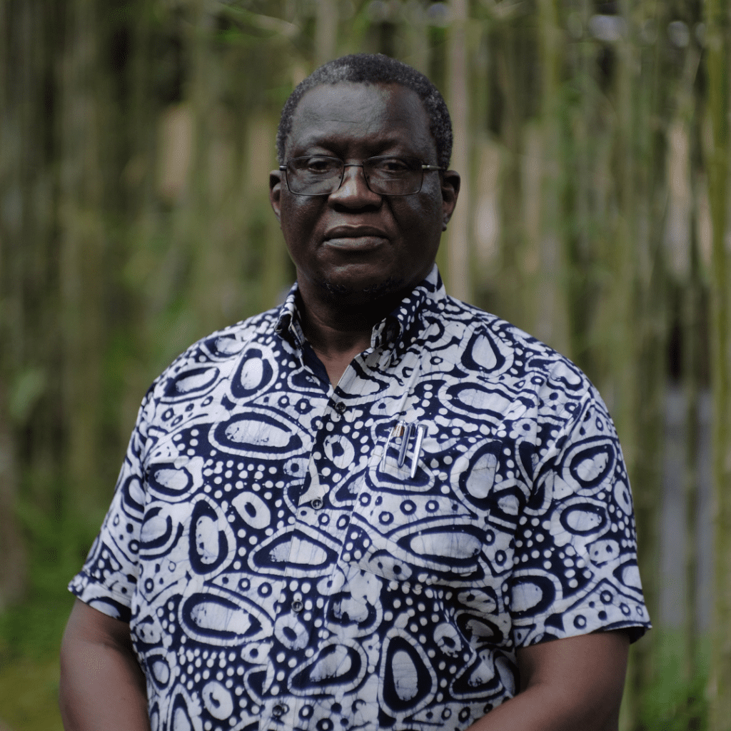 Danisa Ndlovu