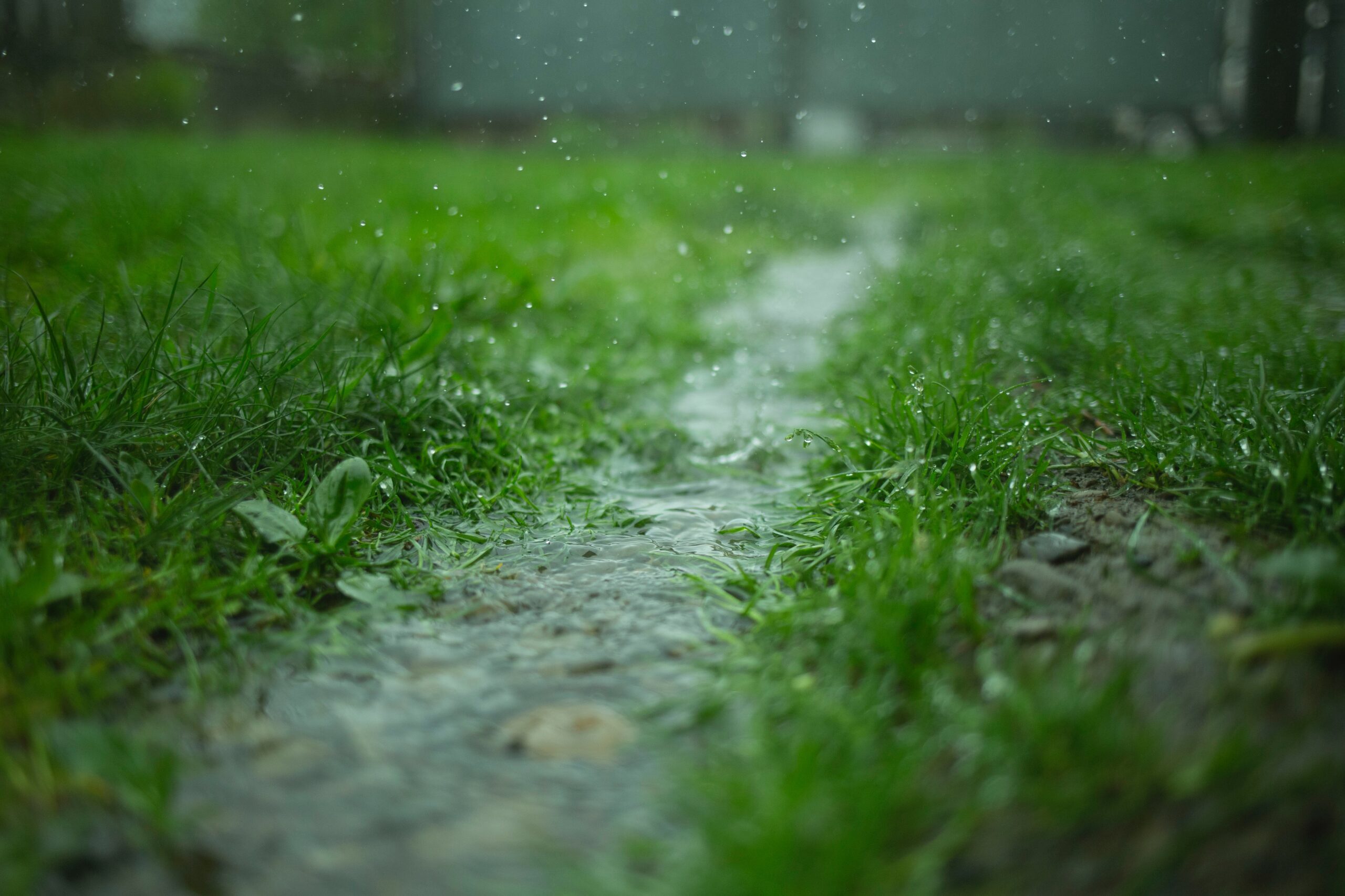 Menos Lluvia, menos sombra, más gente