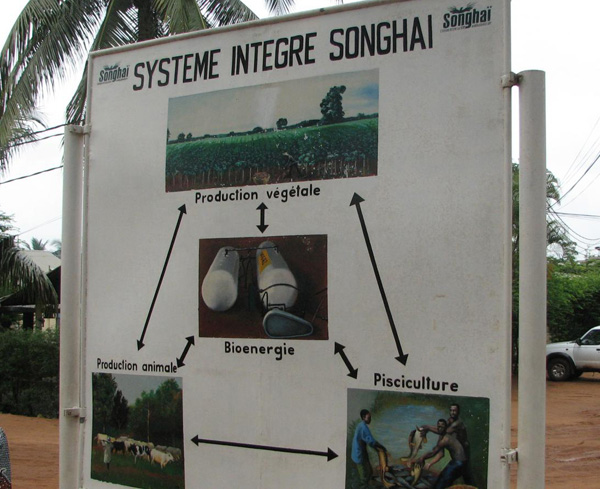 Sustaining the church through sustainable agriculture