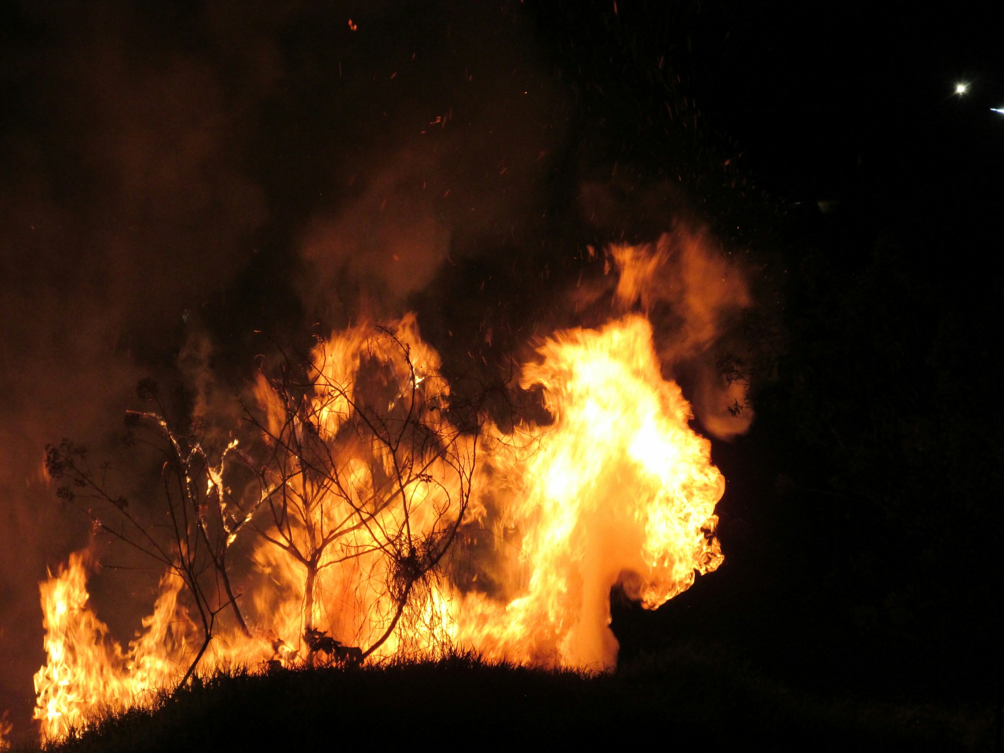 A pastoral letter for those affected by wildfires in Los Angeles